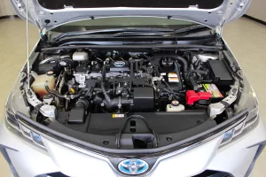 Toyota Altis 1.8 Hybrid Entry 2020 [HBGG]