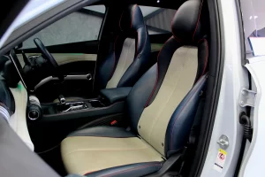 BYD Atto 3 Standard Range 2023 [BDDB]