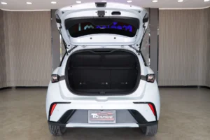 BYD Dolphin Standard Range 2024 [IAHA]