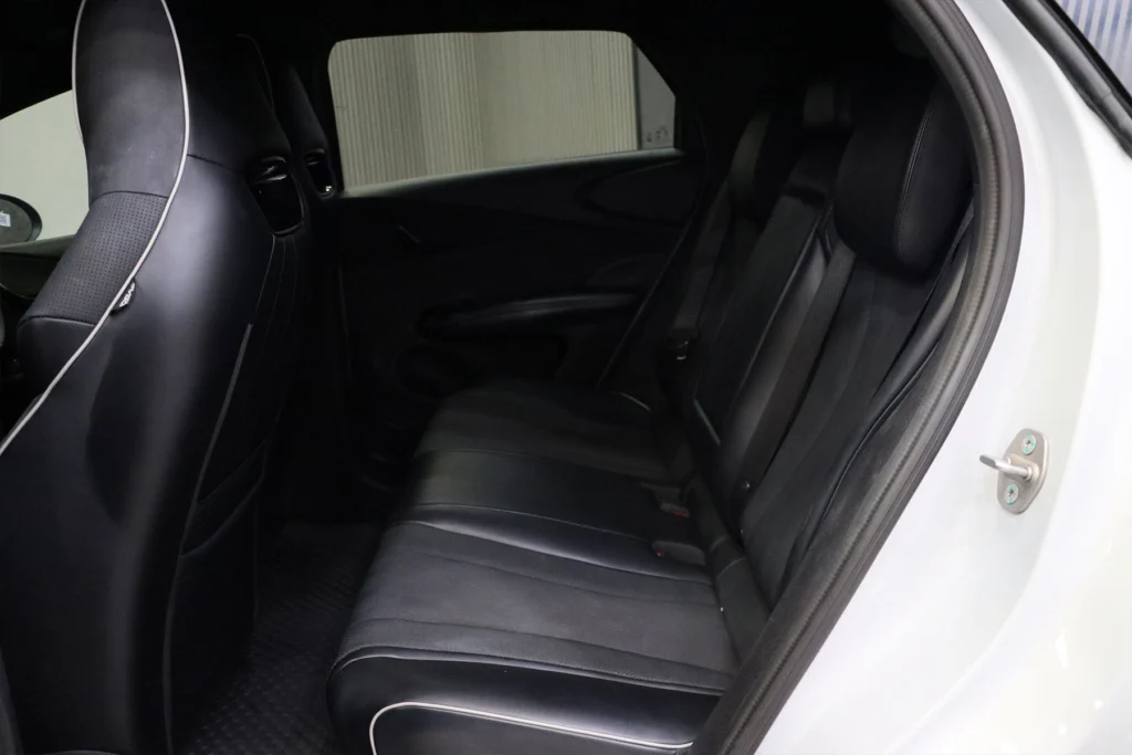 BYD Dolphin Standard Range 2024 [IAHA]