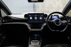 BYD Dolphin Standard Range 2024 [IAHA]