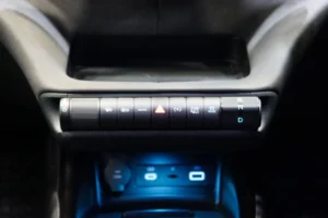 BYD Dolphin Standard Range 2024 [IAHA]