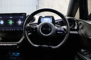 BYD Dolphin Standard Range 2024 [IAHA]