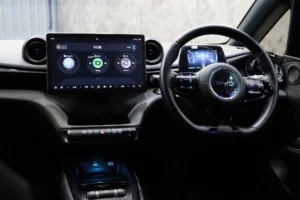 BYD Dolphin Standard Range 2024 [IAHA]