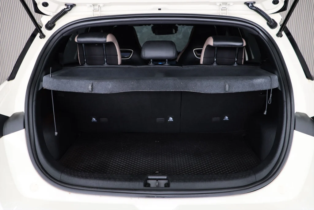 BYD Dolphin Standard Range 2024 [AGEH]