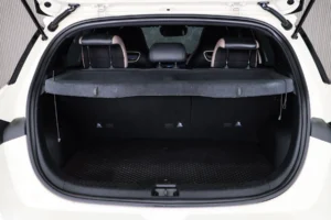 BYD Dolphin Standard Range 2024 [AGEH]