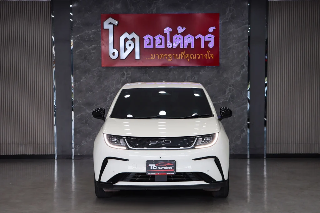 BYD Dolphin Standard Range 2024 [AGEH]