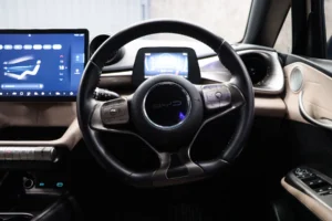 BYD Dolphin Standard Range 2024 [AGEH]