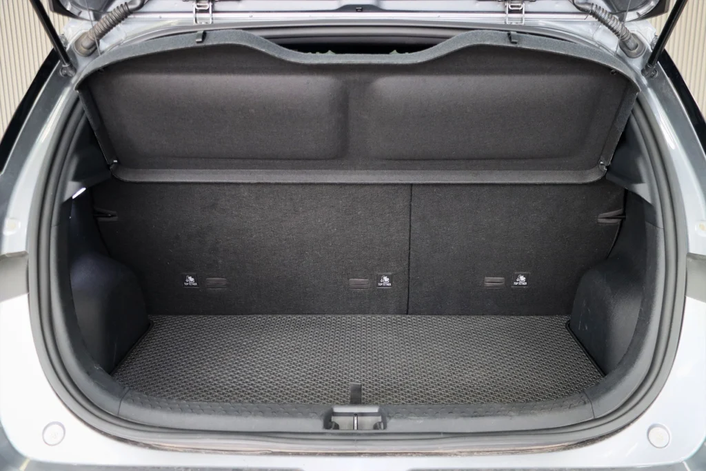 BYD Dolphin Standard Range 2024 [DACF]