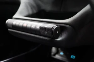 BYD Dolphin Standard Range 2024 [DACF]