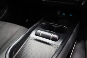 BYD Dolphin Standard Range 2024 [DACF]
