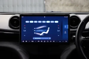 BYD Dolphin Standard Range 2024 [DACF]