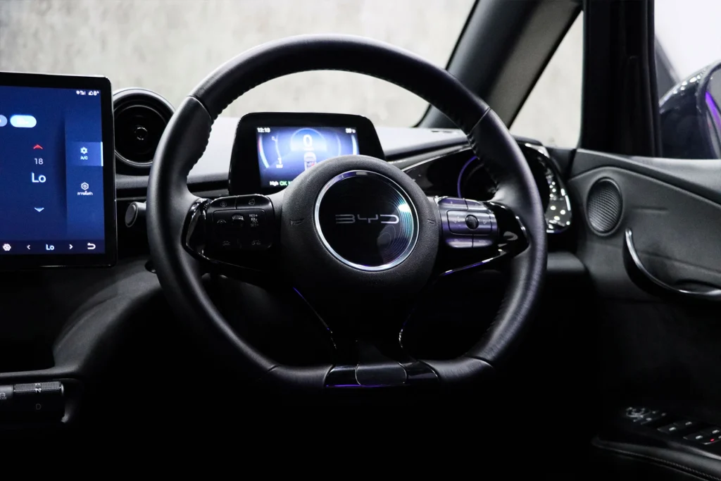 BYD Dolphin Standard Range 2024 [DACF]