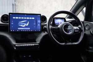 BYD Dolphin Standard Range 2024 [DACF]