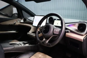 BYD Dolphin Standard Range 2023 [CHFB]