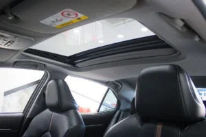 Toyota Camry 2.5 Hybrid Premium 2021 [DJAE]
